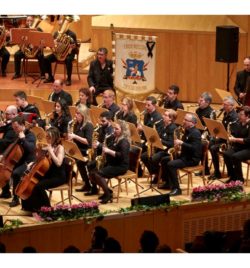 XI GALA SOLIDARIA EN BENEFICIO DE AMAC GEMA