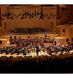 XI GALA SOLIDARIA EN BENEFICIO DE AMAC GEMA