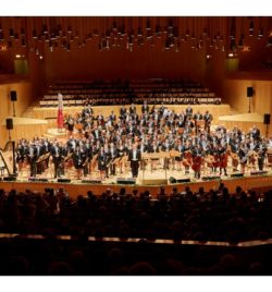 XI GALA SOLIDARIA EN BENEFICIO DE AMAC GEMA