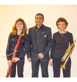 Gran Concierto de Navidad, 2017