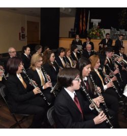 ENTREGA DE LA MEDALLA DE ORO DE LA VILLA DE EJEA