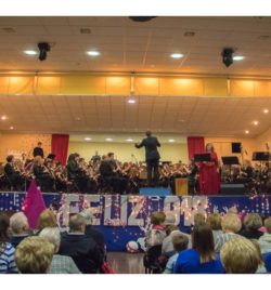 Gran Concierto de Navidad, 2017