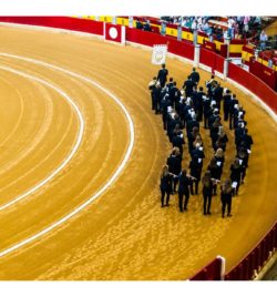 FERIA DEL PILAR DE ZARAGOZA Octubre 2018