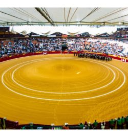 FERIA DEL PILAR DE ZARAGOZA Octubre 2018