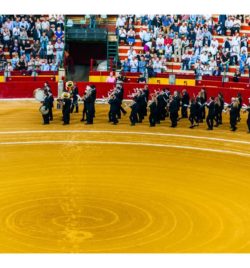 FERIA DEL PILAR DE ZARAGOZA Octubre 2018