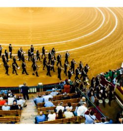 FERIA DEL PILAR DE ZARAGOZA Octubre 2018