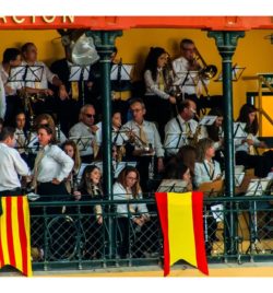 FERIA DEL PILAR DE ZARAGOZA Octubre 2018