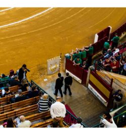 FERIA DEL PILAR DE ZARAGOZA Octubre 2018