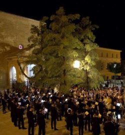 FIESTAS DE LA VIRGEN DE LA OLIVA 2019