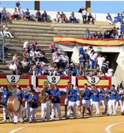 FIESTAS DE LA VIRGEN DE LA OLIVA 2019