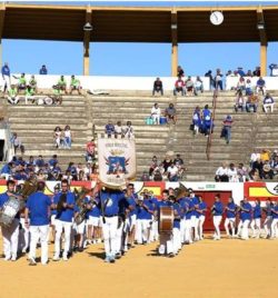 FIESTAS DE LA VIRGEN DE LA OLIVA 2019