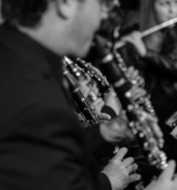 Detalle manos clarinete Banda Municipal de Ejea